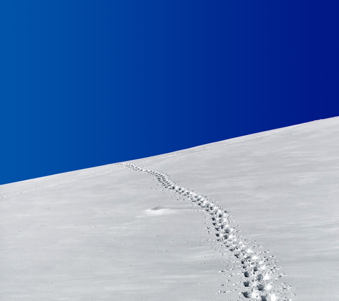 Photo footprints