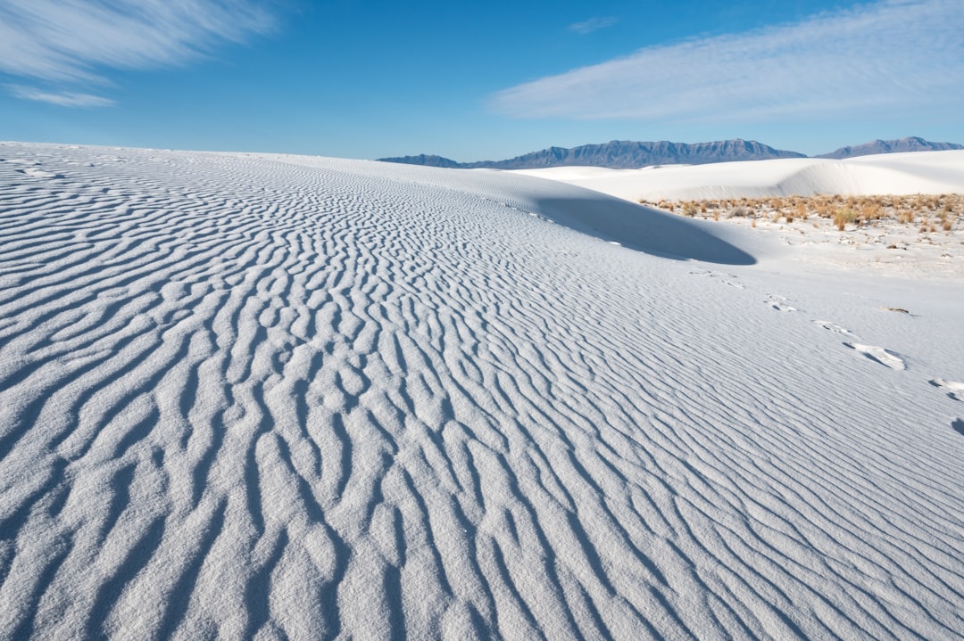 Photo White Sands footprints