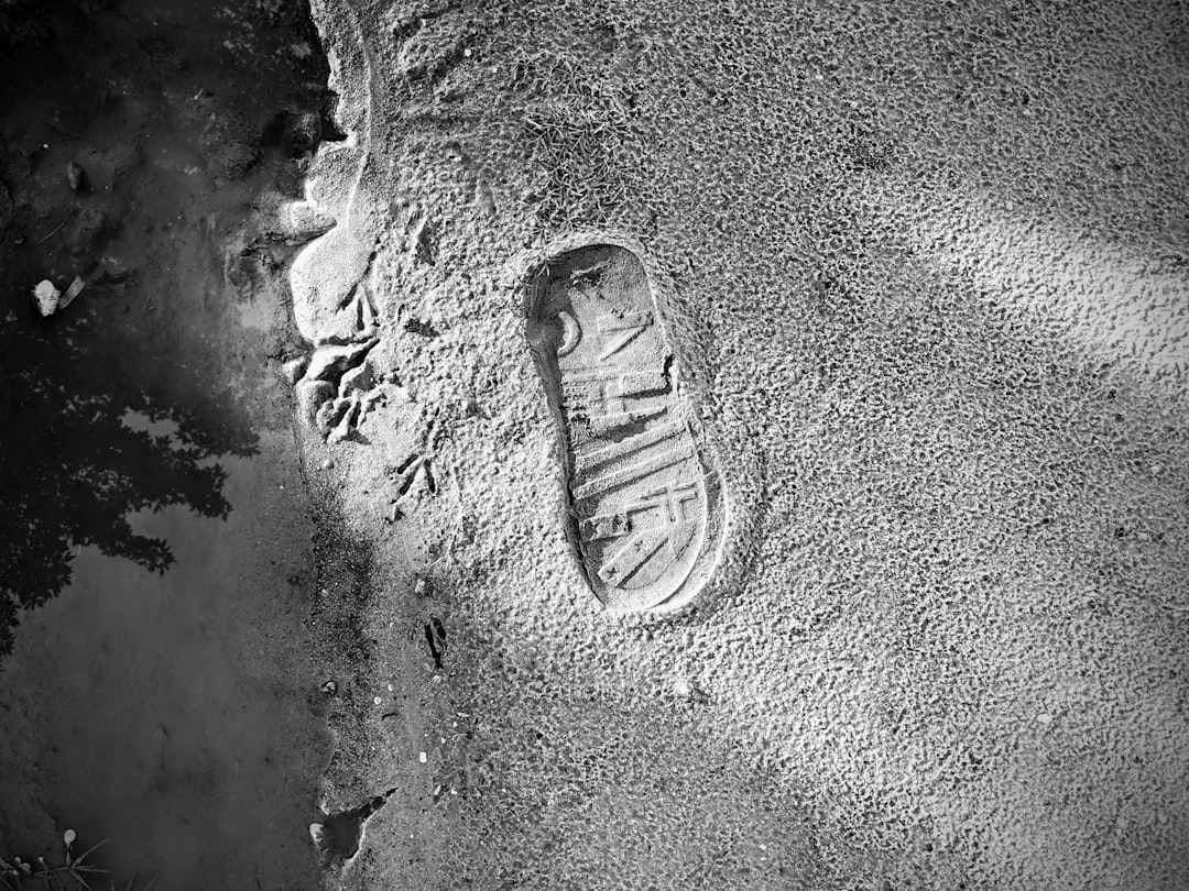 Photo footprints documentary