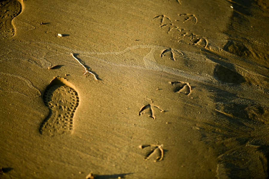 Photo footprints documentary