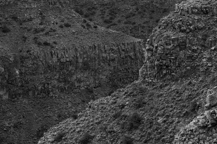 Photo Ice Age New Mexico ancient humans