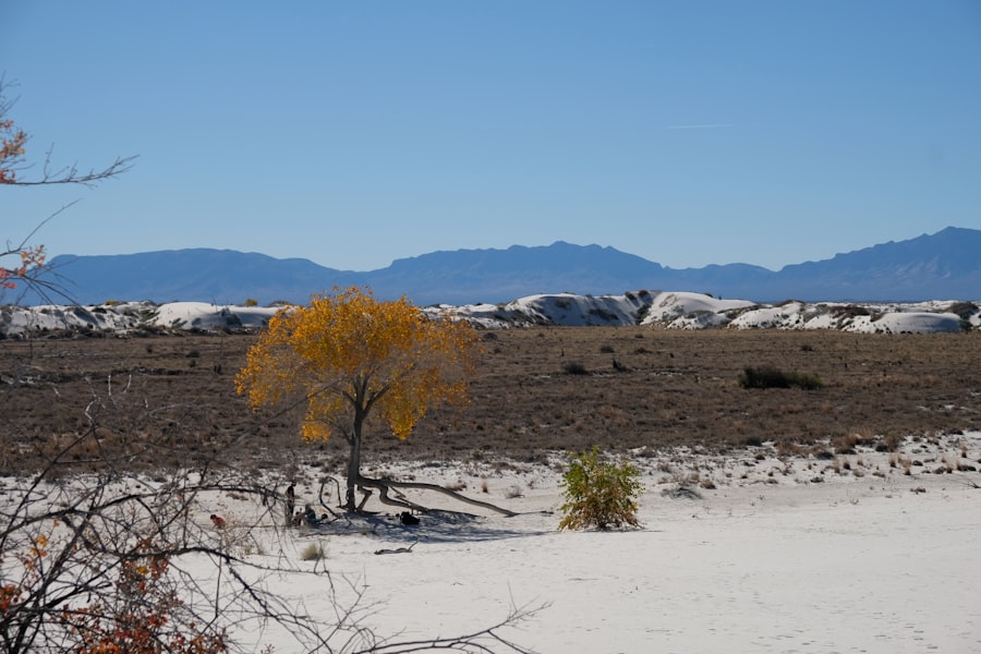 Photo New Mexico Last Glacial Maximum