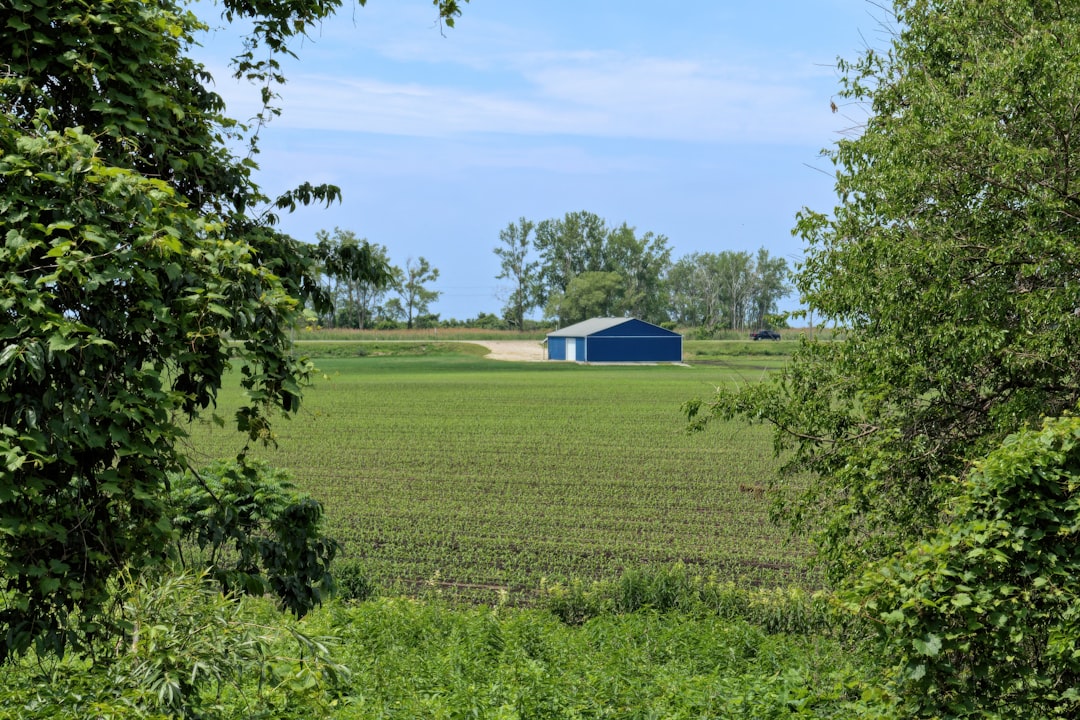 Photo pastoral tracks