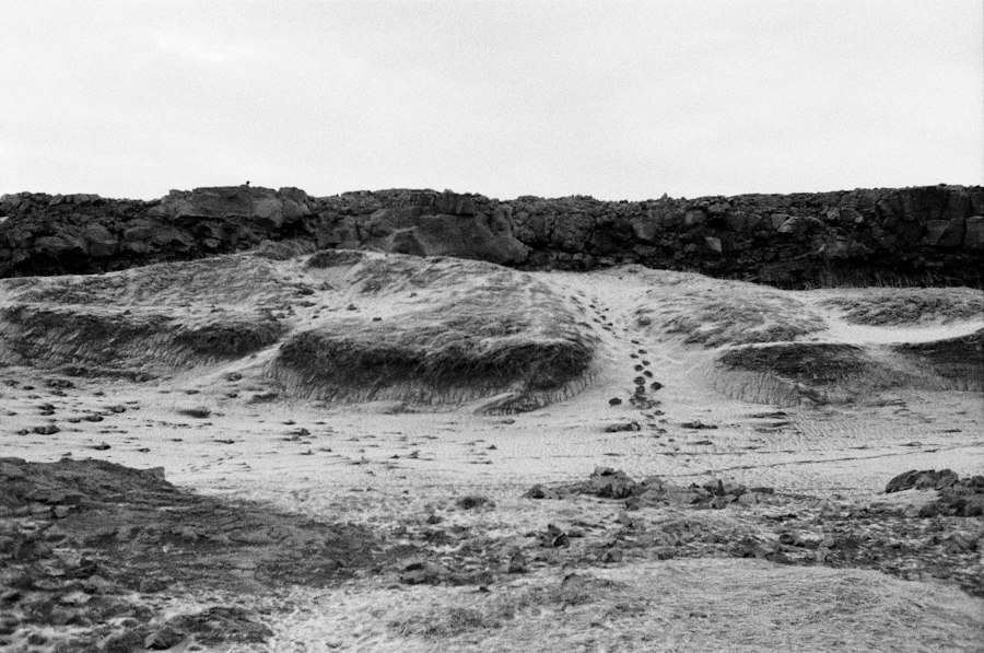 Photo Nazca figure groups trail discovery
