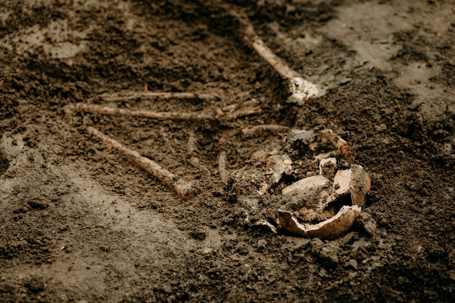 Photo archaeological discovery