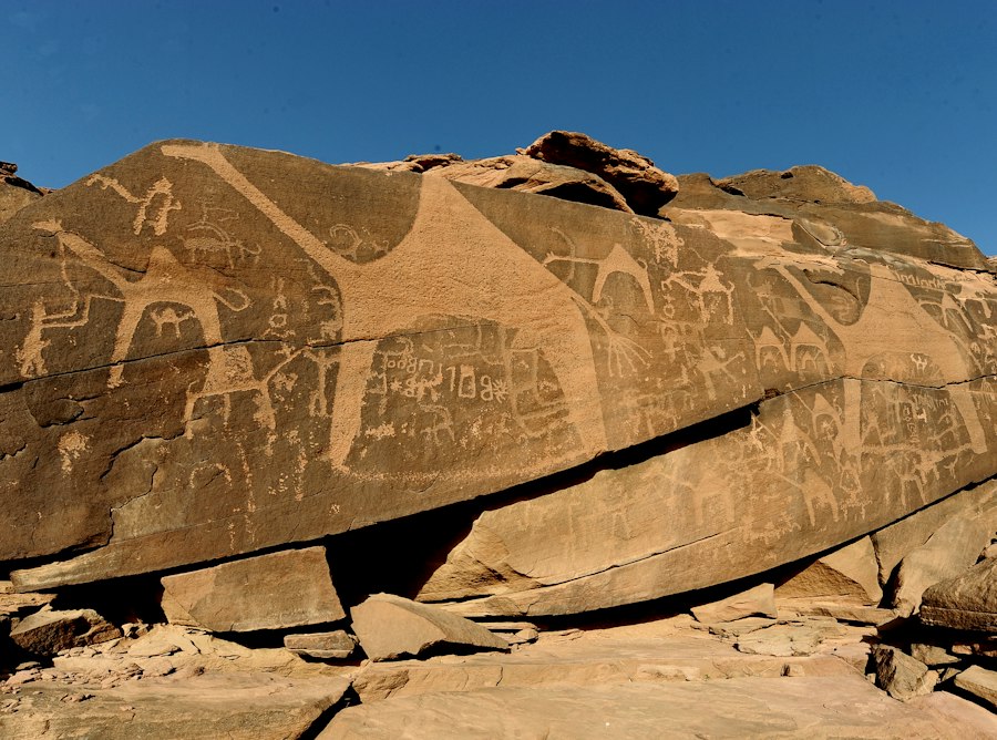 Photo Arabian petroglyphs wild horses