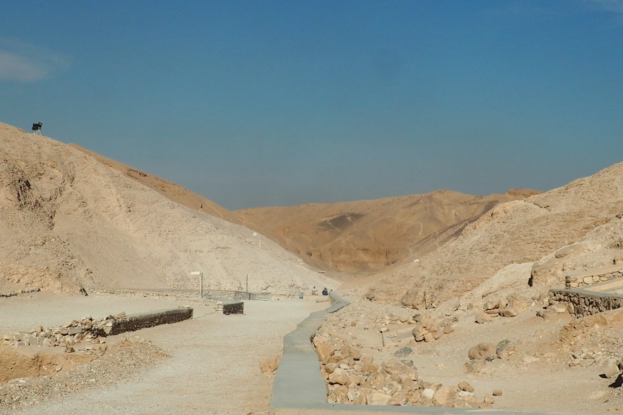 ancient desert irrigation technology