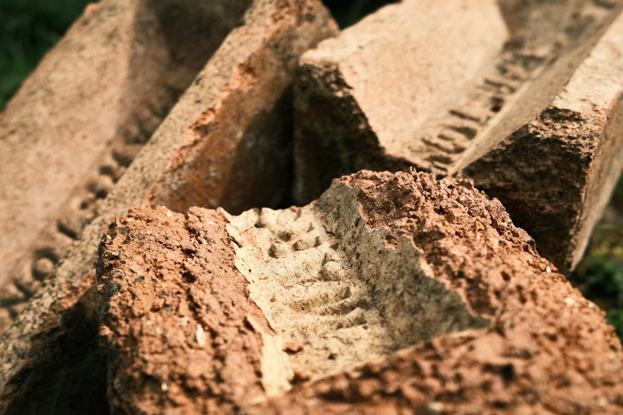 Photo forensic archaeology organic materials techniques
