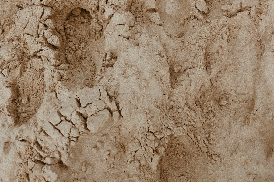 forensic archaeology organic materials techniques