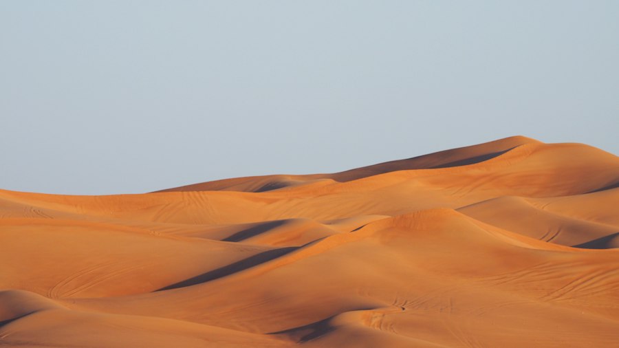 desert varnish dating technique