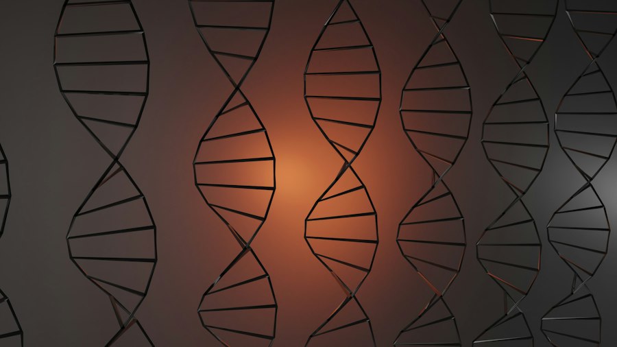 Photo Cajun DNA genealogy research