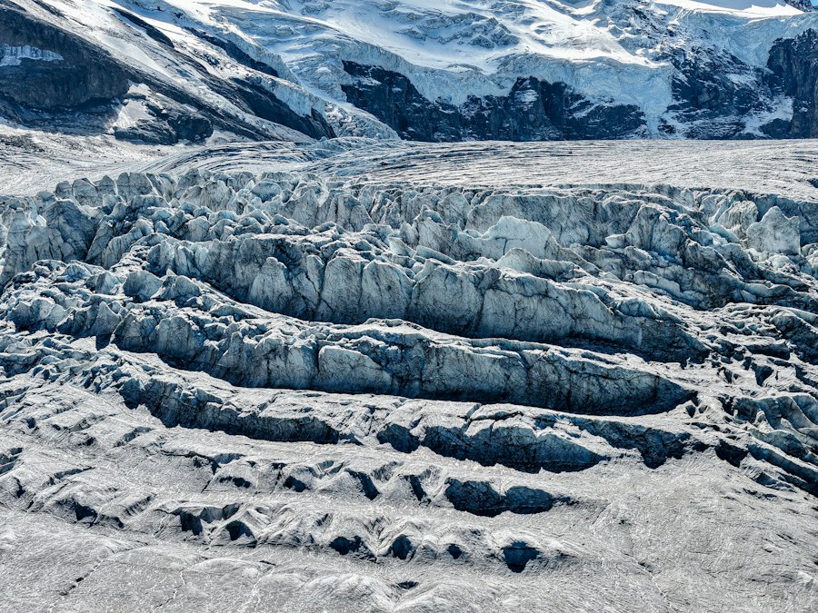 woolly mammoth glacier preservation