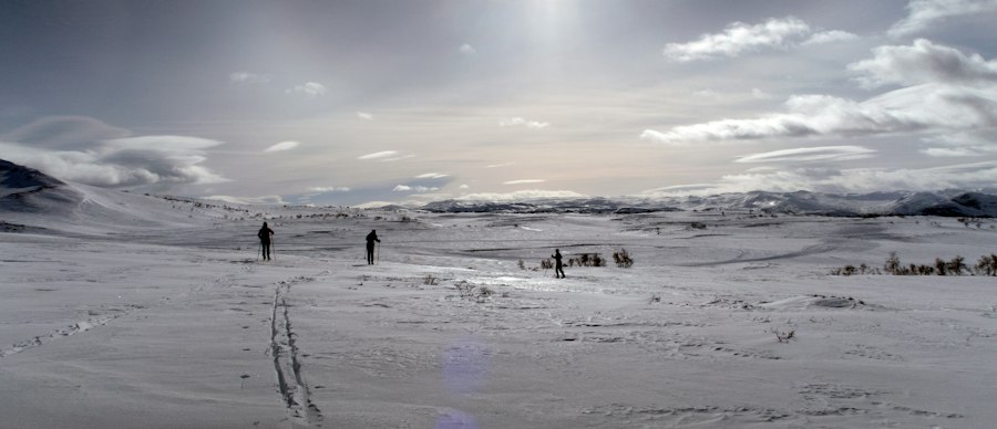 Ice Age humans winter diet