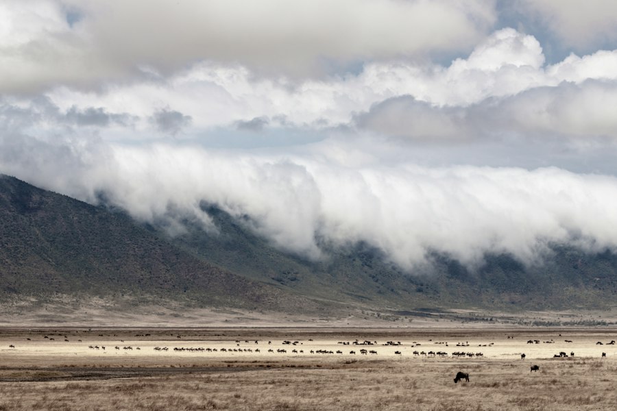 Photo Paleolithic weather patterns migration