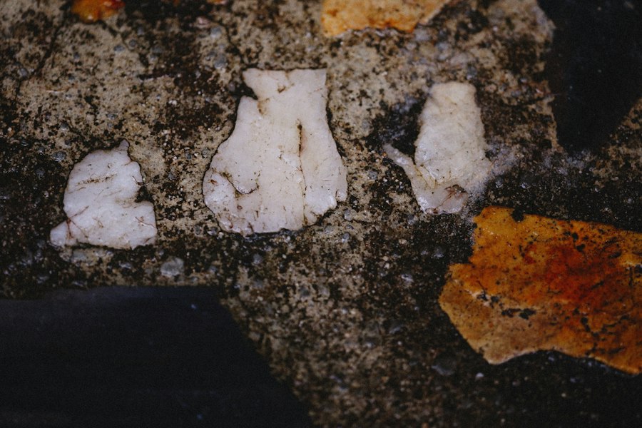 Photo Paleolithic flint selection techniques