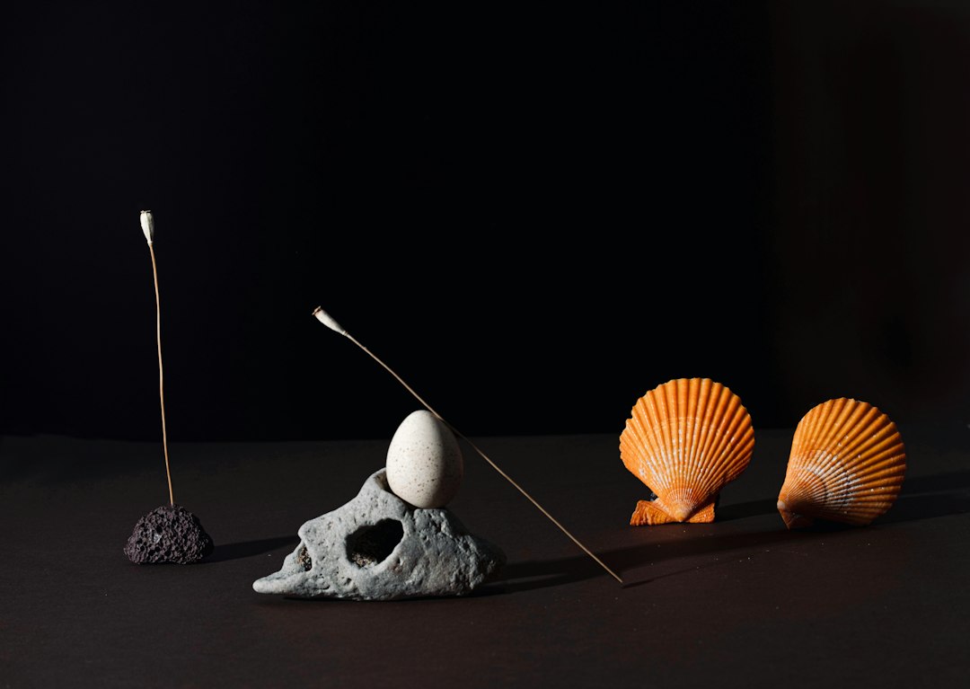 Photo bone needles making from animal bones
