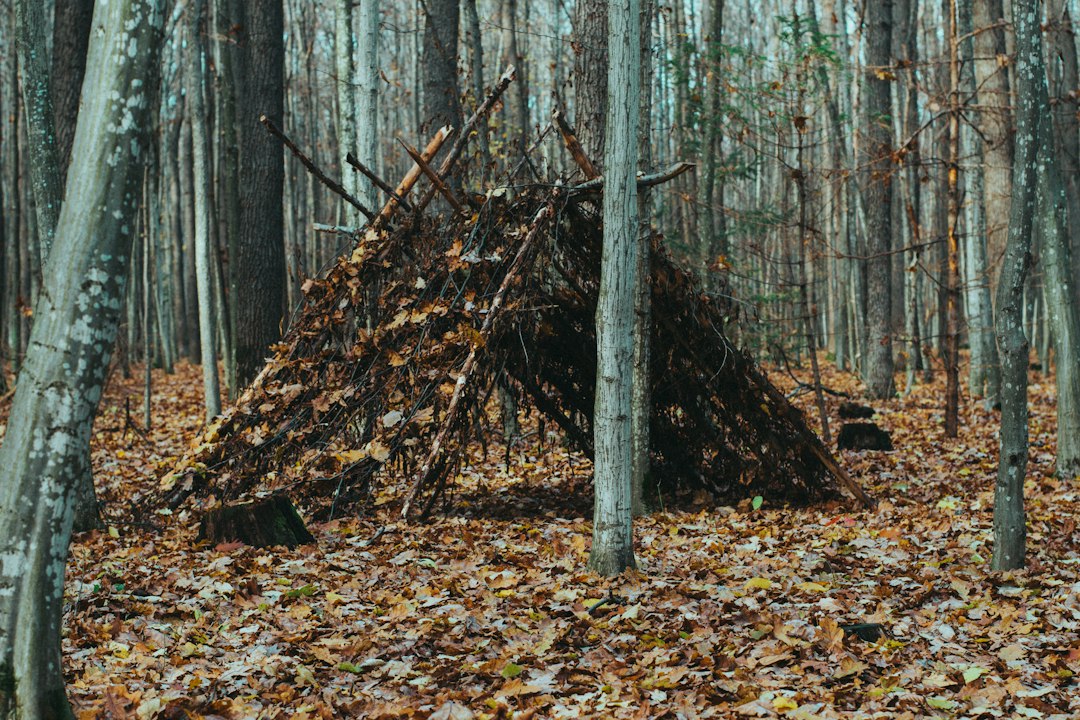 Photo primitive cold survival skills