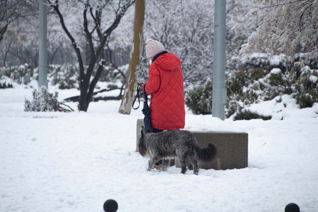 Photo ice age child rescues dog survival story