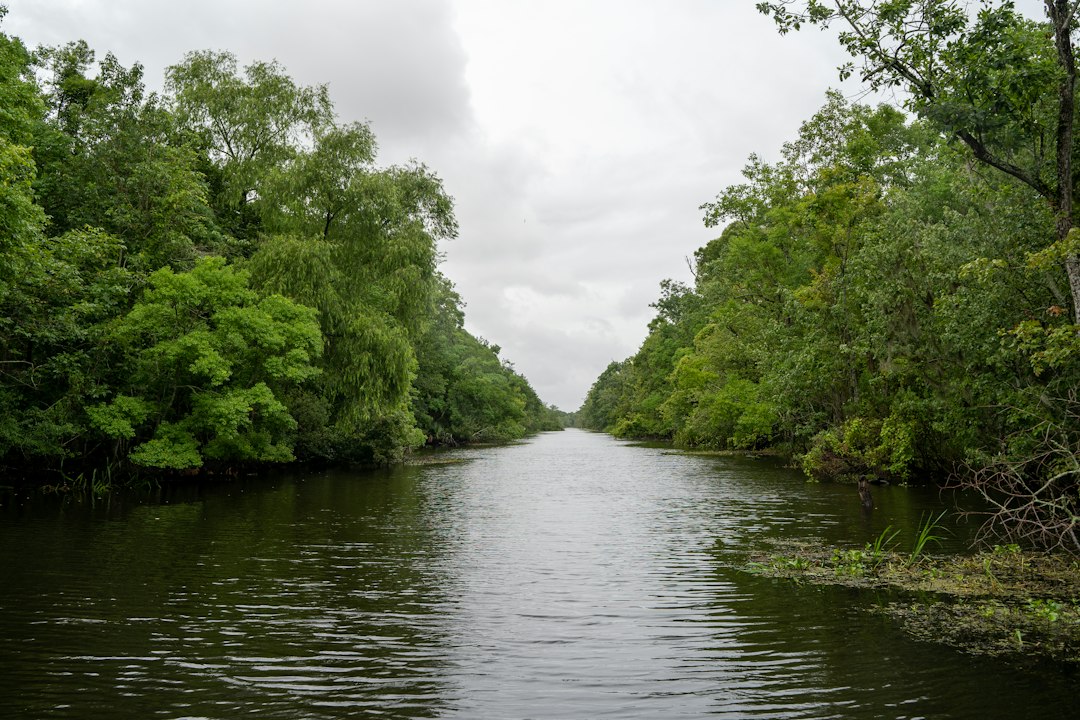 Photo Cajun migration Louisiana genetics